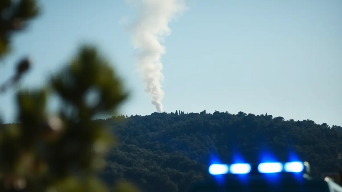 Generic image of a column of smoke rising above a Mediterranean forest, with blurred emergency lights.