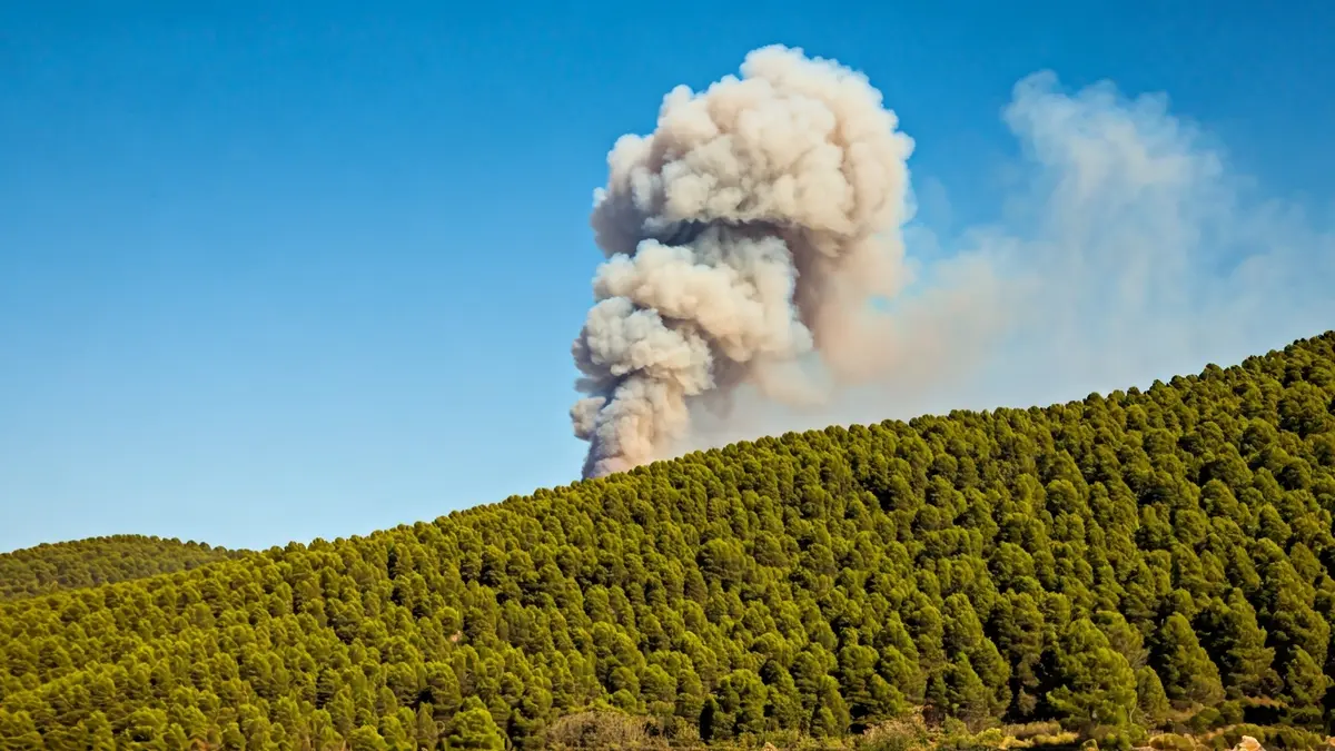 Imatge genèrica d'una columna de fum sobre un bosc mediterrani.