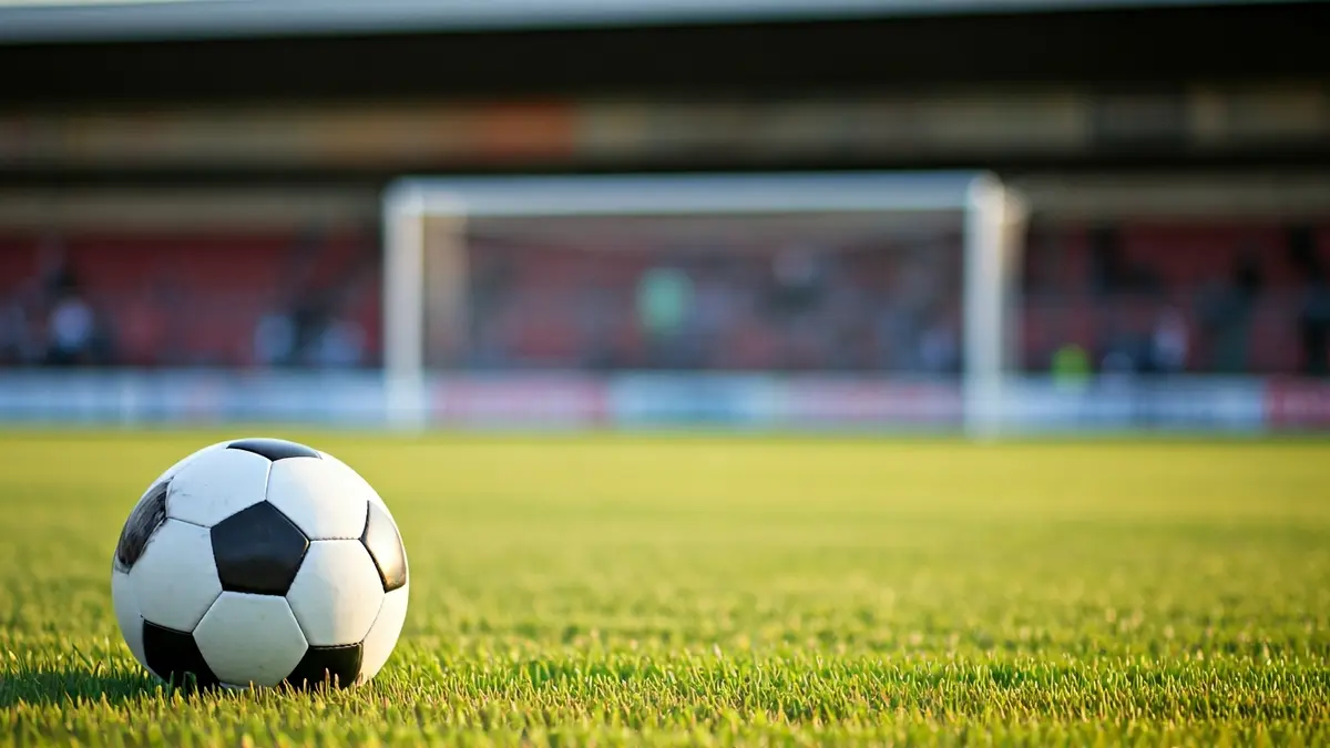 Generic image of a soccer ball on a green field.