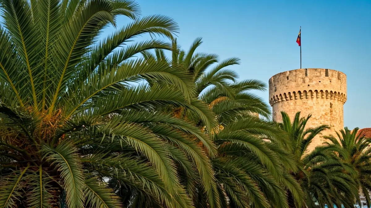 Image of a palm grove with a historic tower in the background, under the afternoon sun.