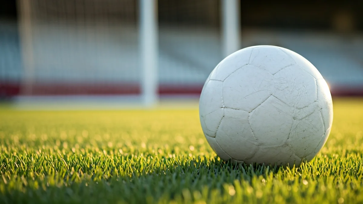 Imatge genèrica d'una pilota de futbol sobre la gespa d'un camp.