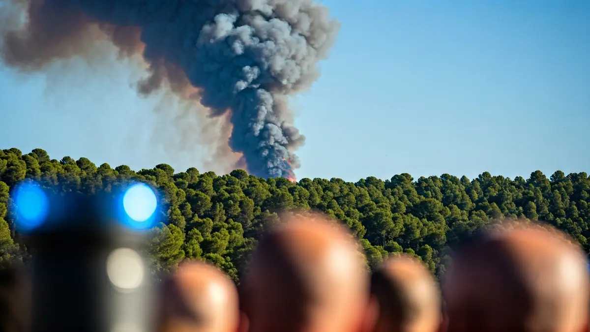Imatge genèrica d'una columna de fum sobre un bosc mediterrani amb llums d'emergència borroses.