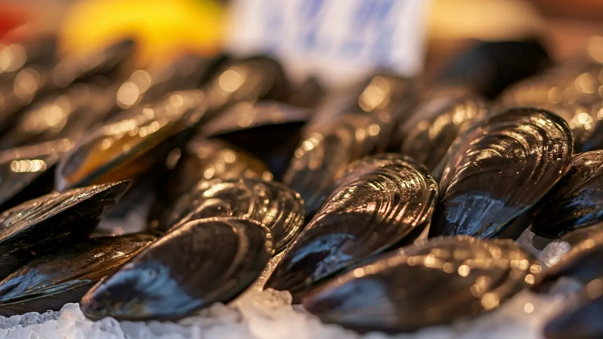 Image of fresh clóchinas (mussels) in a market