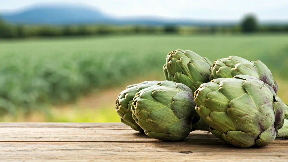 Generic image of fresh artichokes on a wooden table, with a Mediterranean agricultural field in the background.
