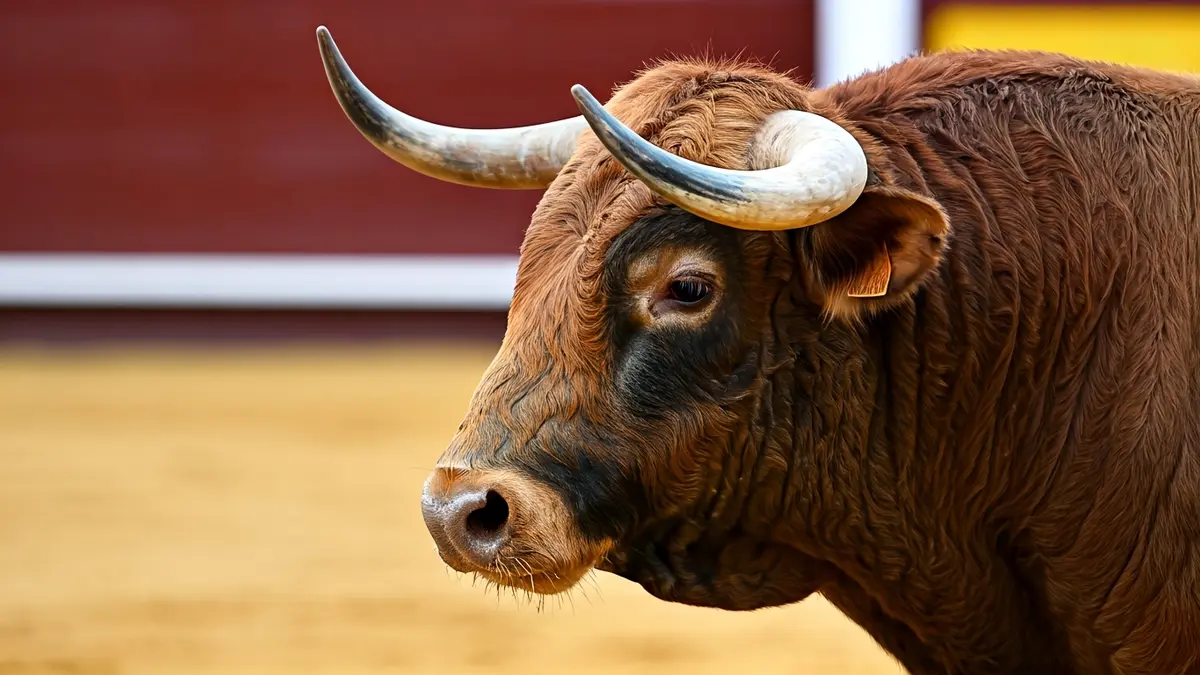 Imagen genérica de un toro en una plaza de toros.