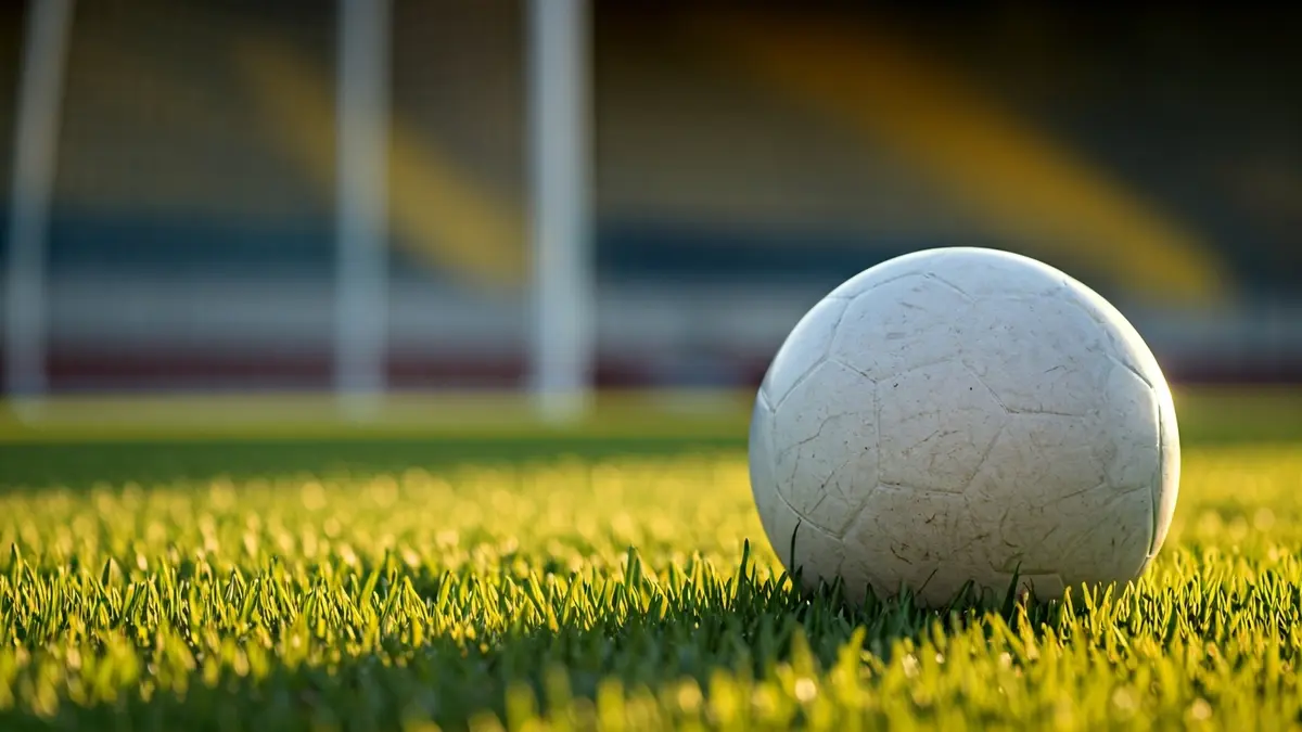 Imatge genèrica d'una pilota de futbol sobre la gespa d'un camp