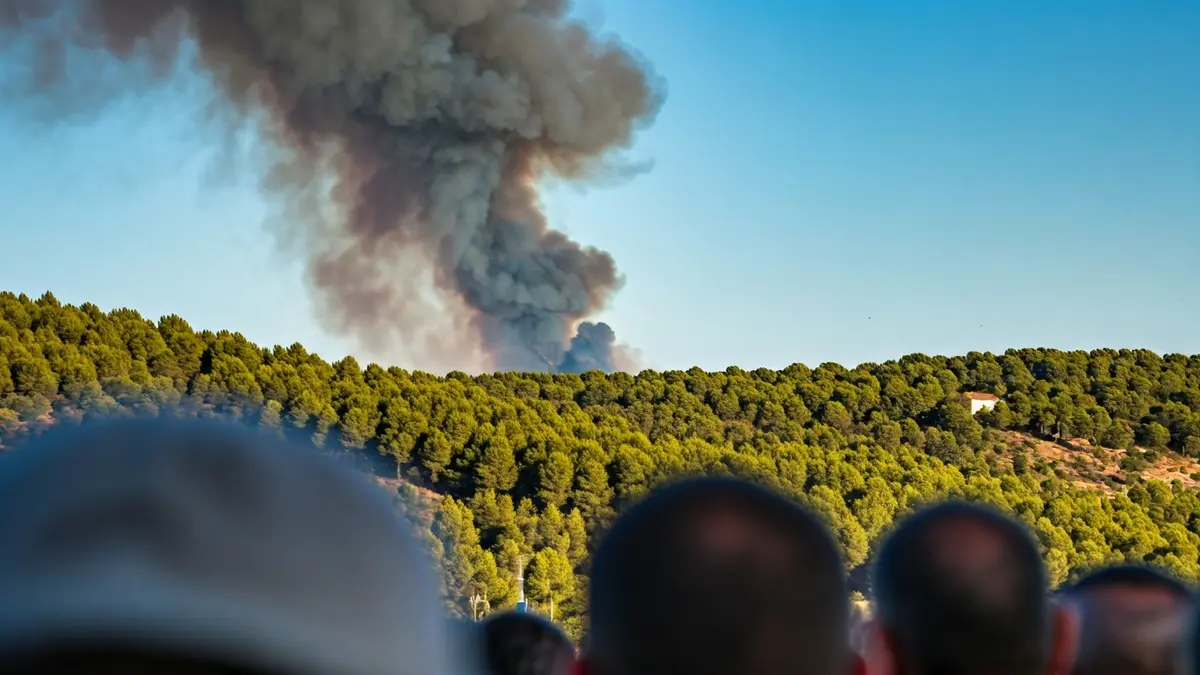 Imatge genèrica d'una columna de fum sobre un bosc mediterrani amb llums d'emergència borroses.