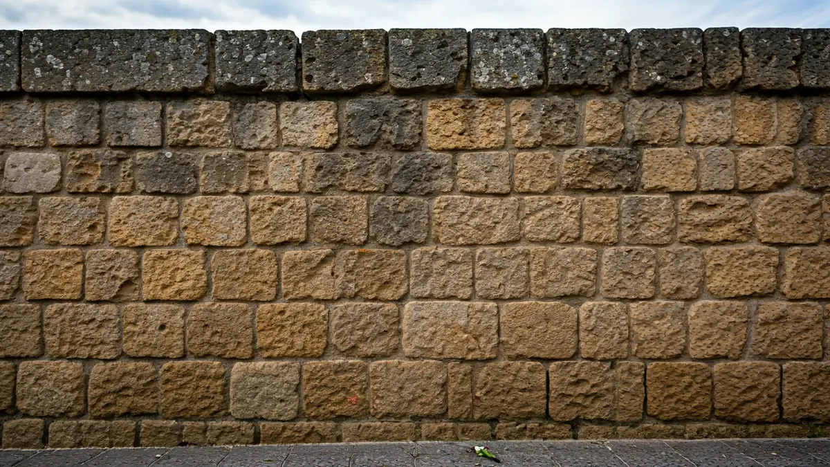 Image of an old stone wall with a flower, symbolizing historical memory.