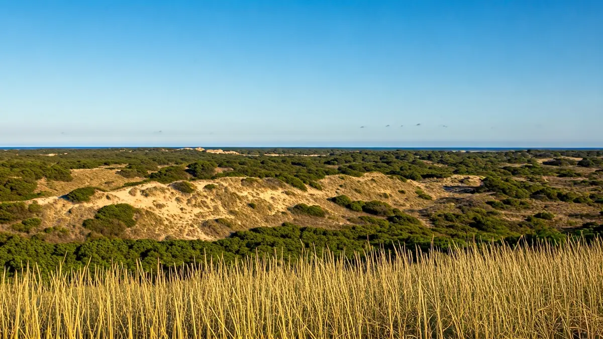 Imagen de un paisaje de dunas interiores activas en una zona mediterránea, con vegetación escasa y cielo azul claro.