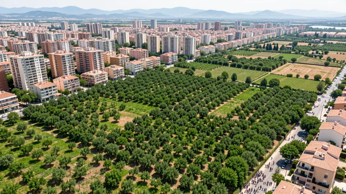 Imagen genérica de terrenos de huerta verdes junto a una zona urbana densamente poblada.