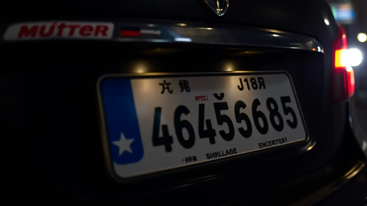 Image of a vehicle license plate with an unusual format, under dim streetlights, suggesting a nighttime investigation scene.