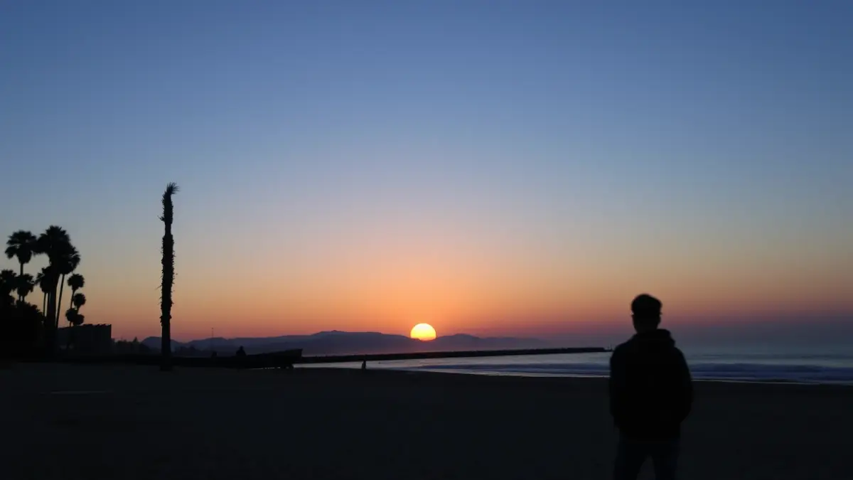 Image of a beach at dusk in Valencia with a partially eclipsed sun and silhouetted palm trees.