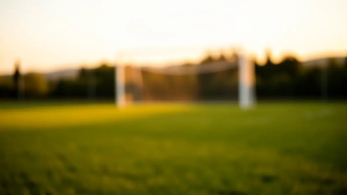 Imagen genérica de un campo de fútbol al atardecer.